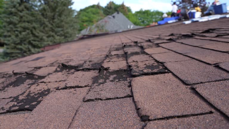 Best Roof Insulation Installation  in Marion, IL