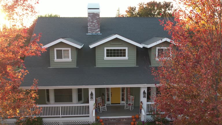 Best Roof Moss and Algae Removal  in Marion, IL